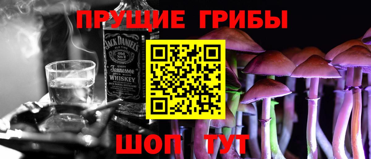 Тулун  Псилоцибиновые грибы мицелий  Вход с VPN 