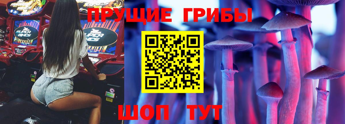 Псилоцибиновые грибы Cubensis Тулун